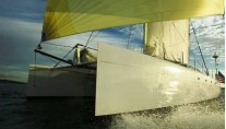 Safari Under Sail